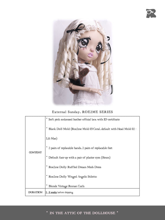 ʚɞ ⁺ Fullsets-External Sunday