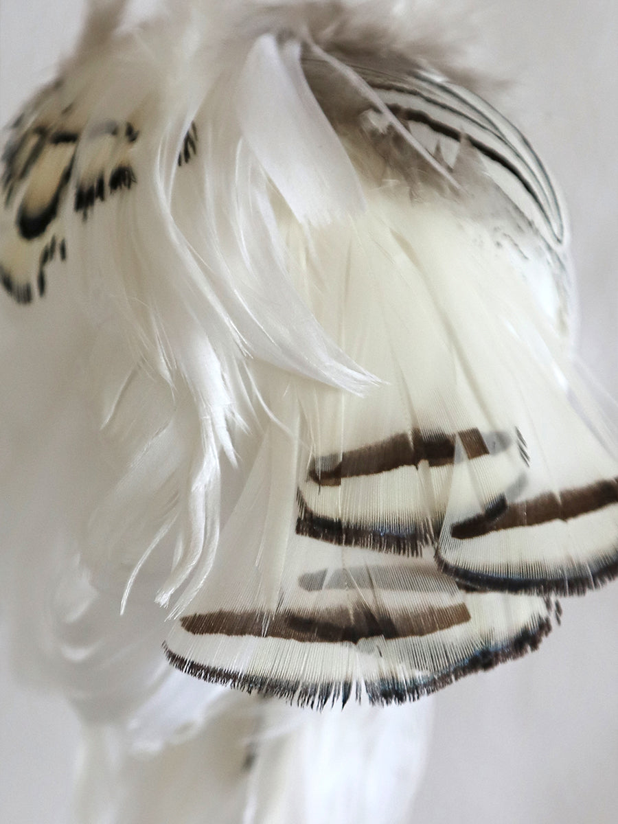 ʚɞ ⁺'Ivory Moth Dreamscape' Moth Veil Feather Wig