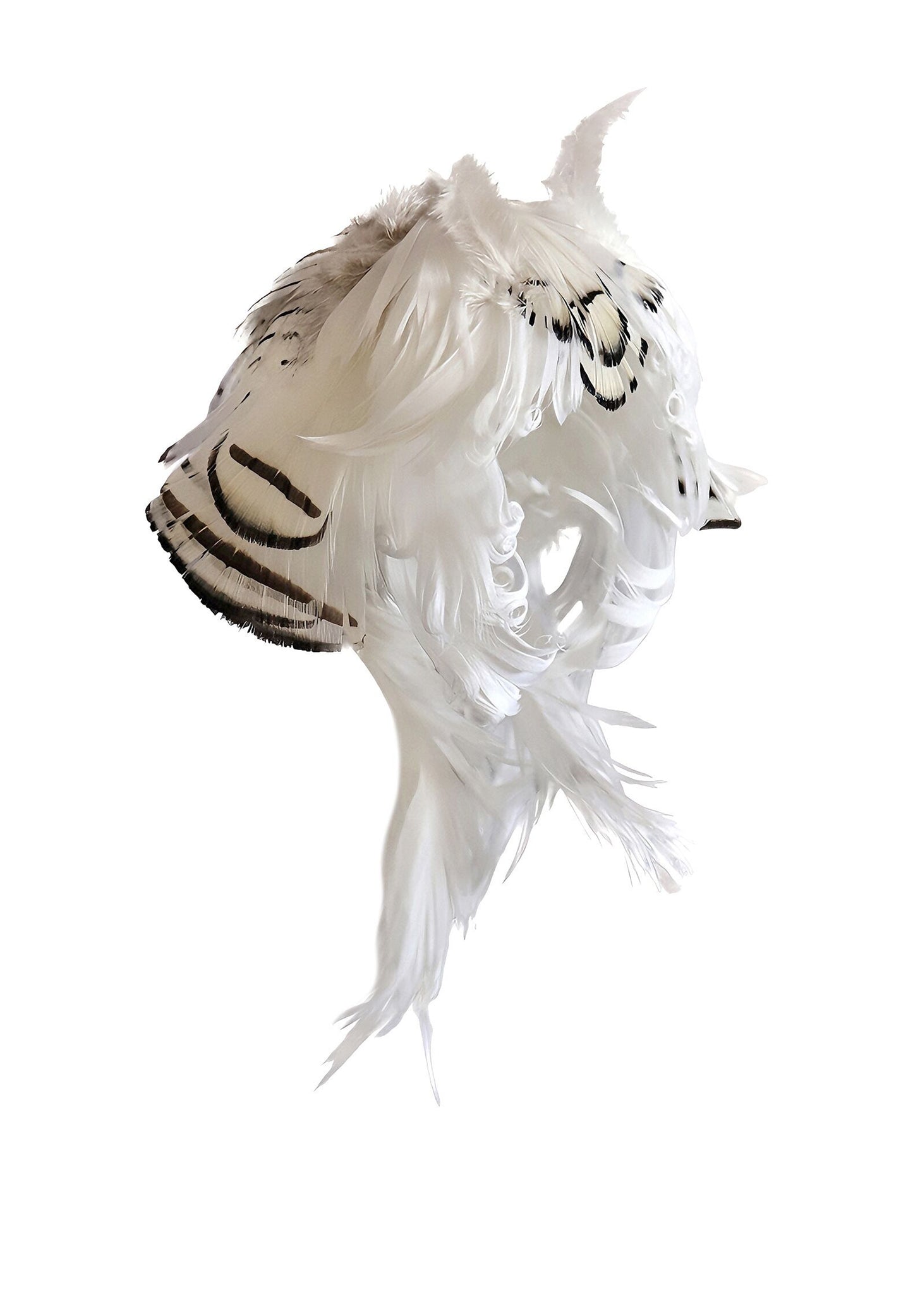 ʚɞ ⁺'Ivory Moth Dreamscape' Moth Veil Feather Wig