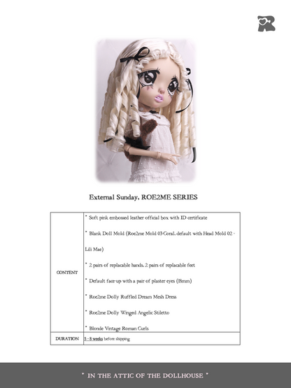 ʚɞ ⁺ Fullsets-External Sunday