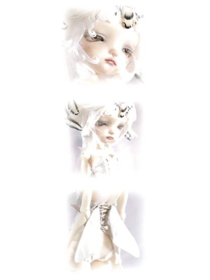 ʚɞ ⁺ Fullsets-Ivory Moth Dreamscape