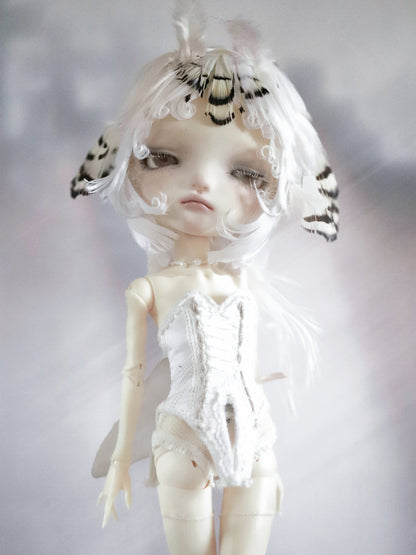 ʚɞ ⁺ Fullsets-Ivory Moth Dreamscape