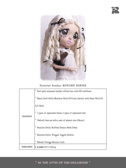 ʚɞ ⁺ Fullsets-External Sunday