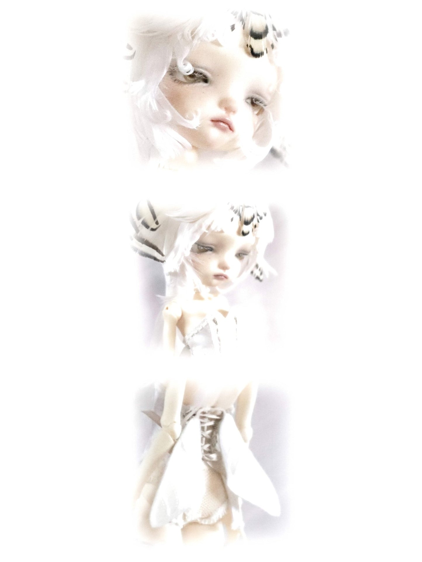 ʚɞ ⁺ Fullsets - Ivory Moth Dreamscape - Roe2me Dolly