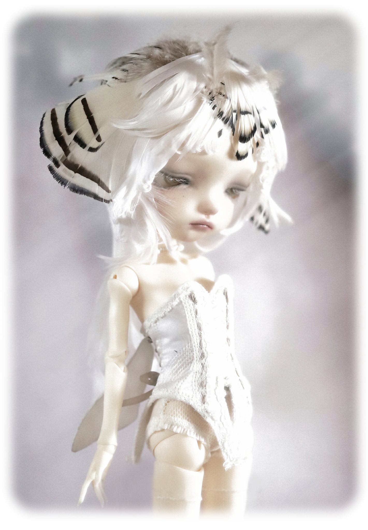 ʚɞ ⁺ Fullsets - Ivory Moth Dreamscape - Roe2me Dolly