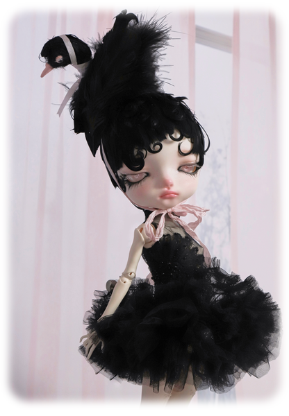 ʚɞ ⁺ Fullsets-Black Swan