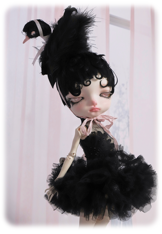 ʚɞ ⁺ Fullsets-Black Swan