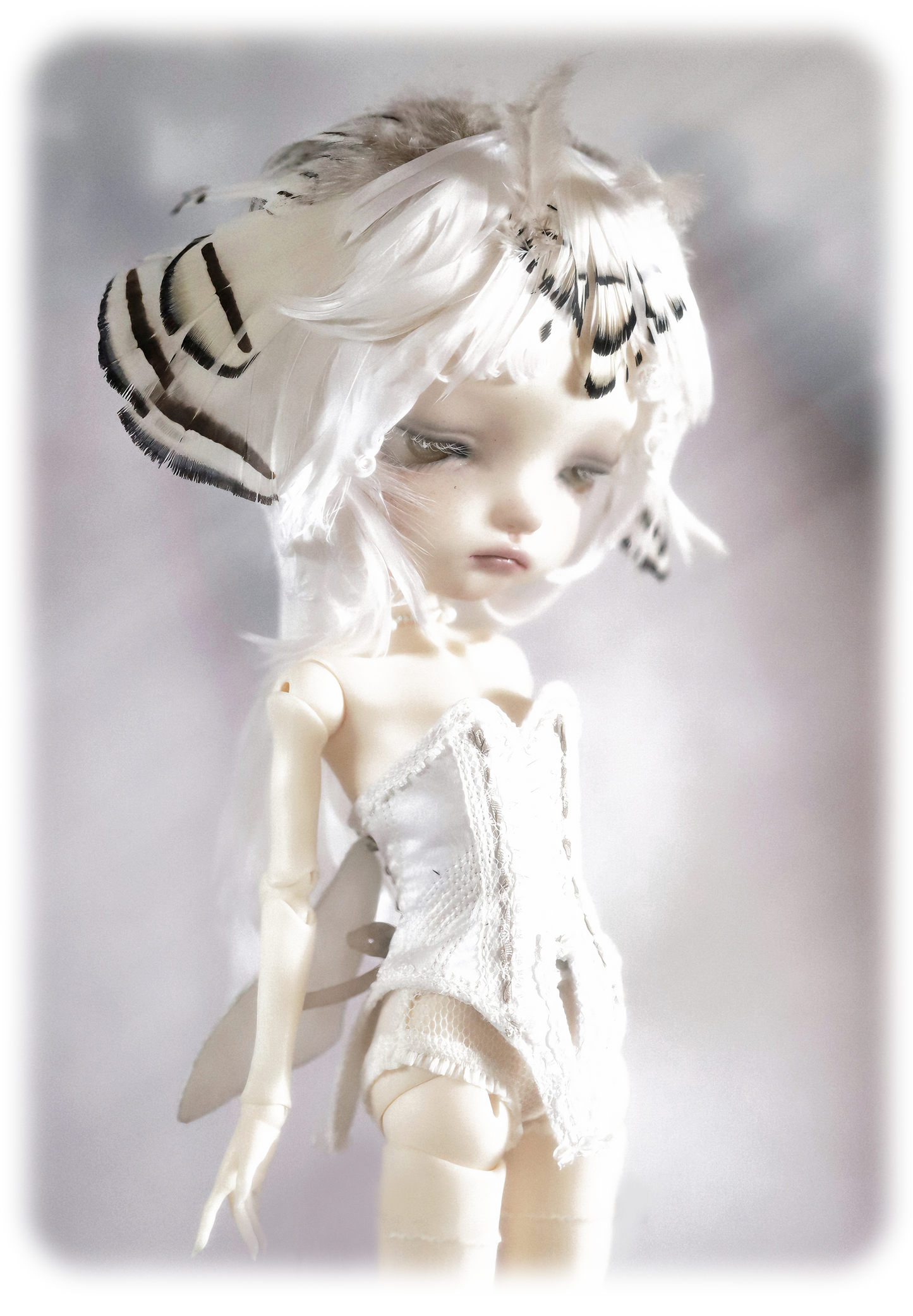 ʚɞ ⁺ Fullsets-Ivory Moth Dreamscape