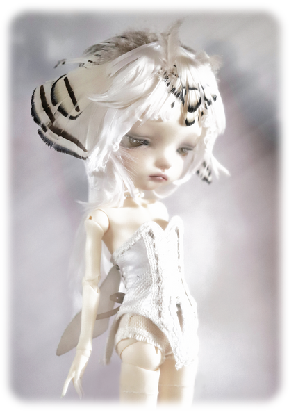 ʚɞ ⁺ Fullsets-Ivory Moth Dreamscape